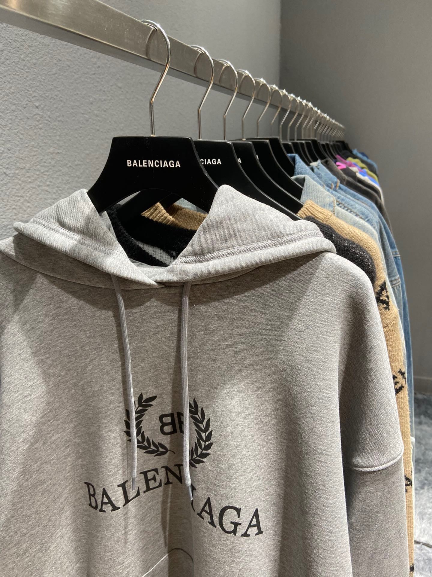 Ba1en*iaga Hoodie
