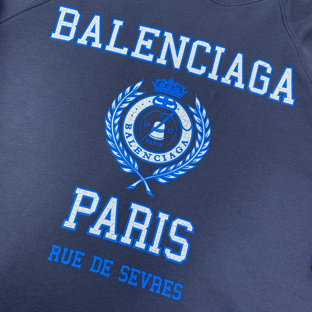 Ba1en*iaga Hoodie