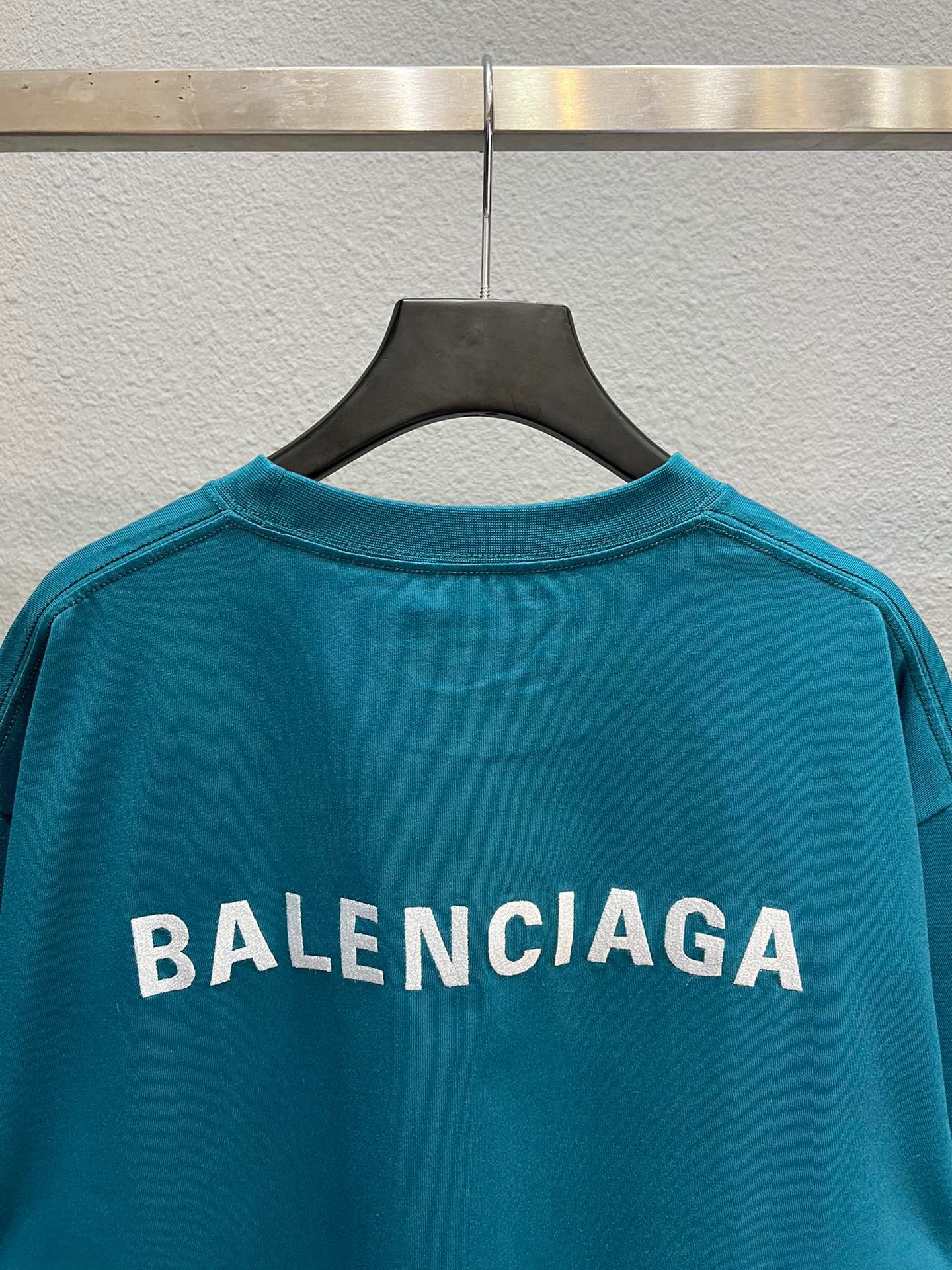 Ba1en*iaga T-shirt