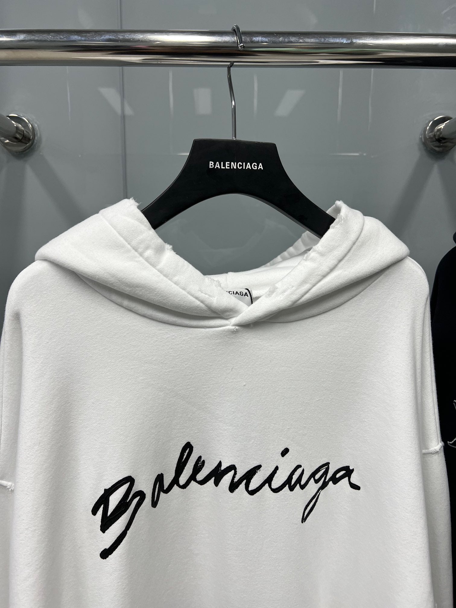 Ba1en*iaga Hoodie
