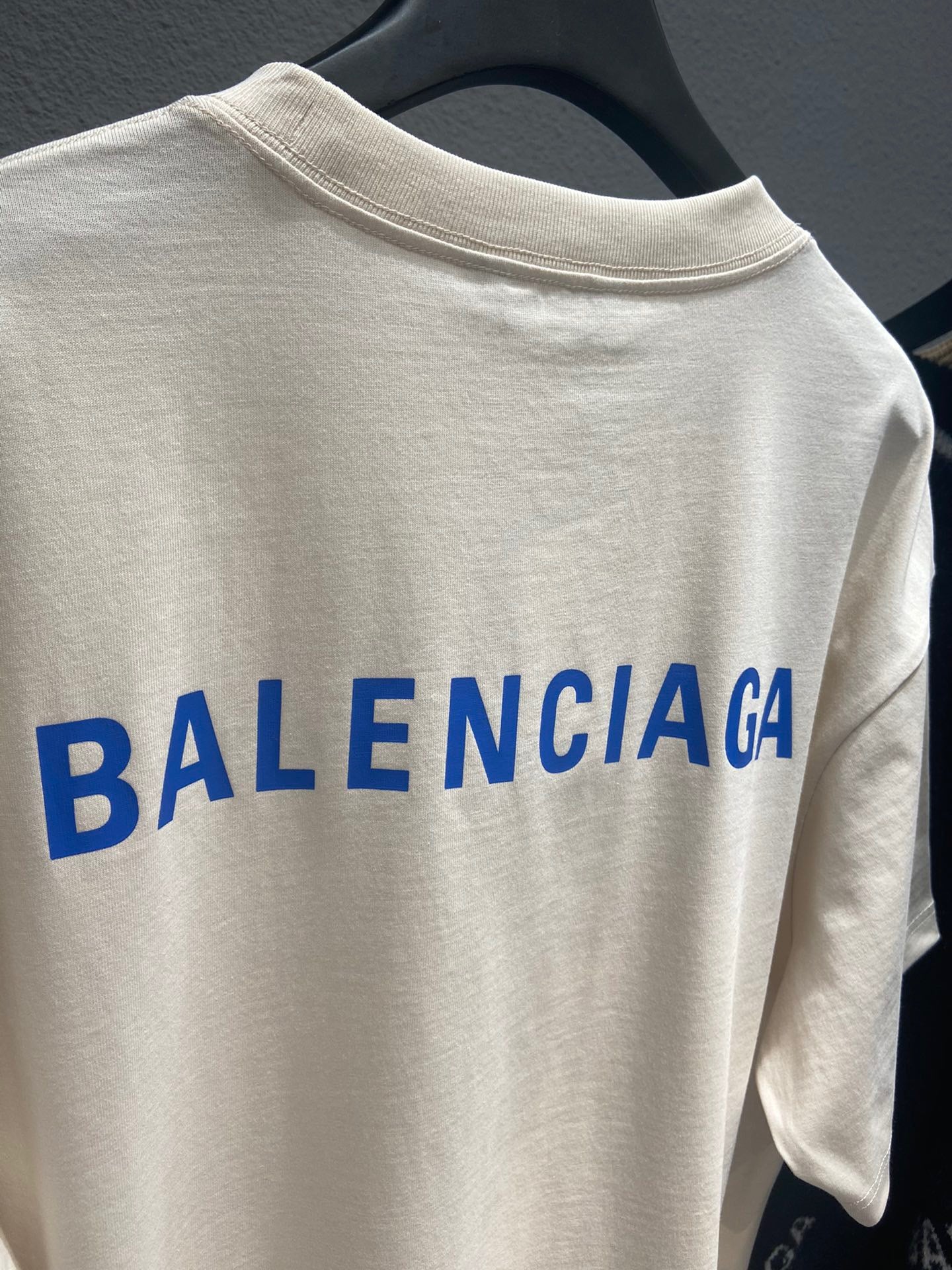 Ba1en*iaga T-shirt