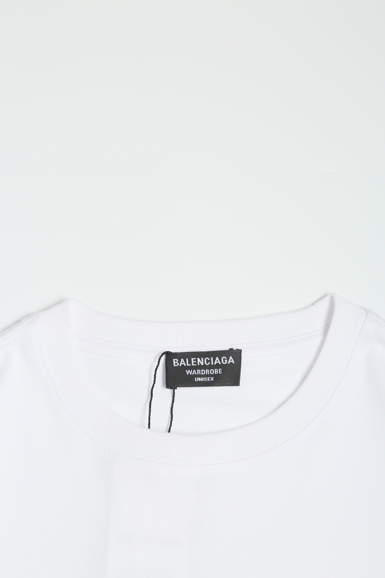 Ba1en*iaga T-shirt
