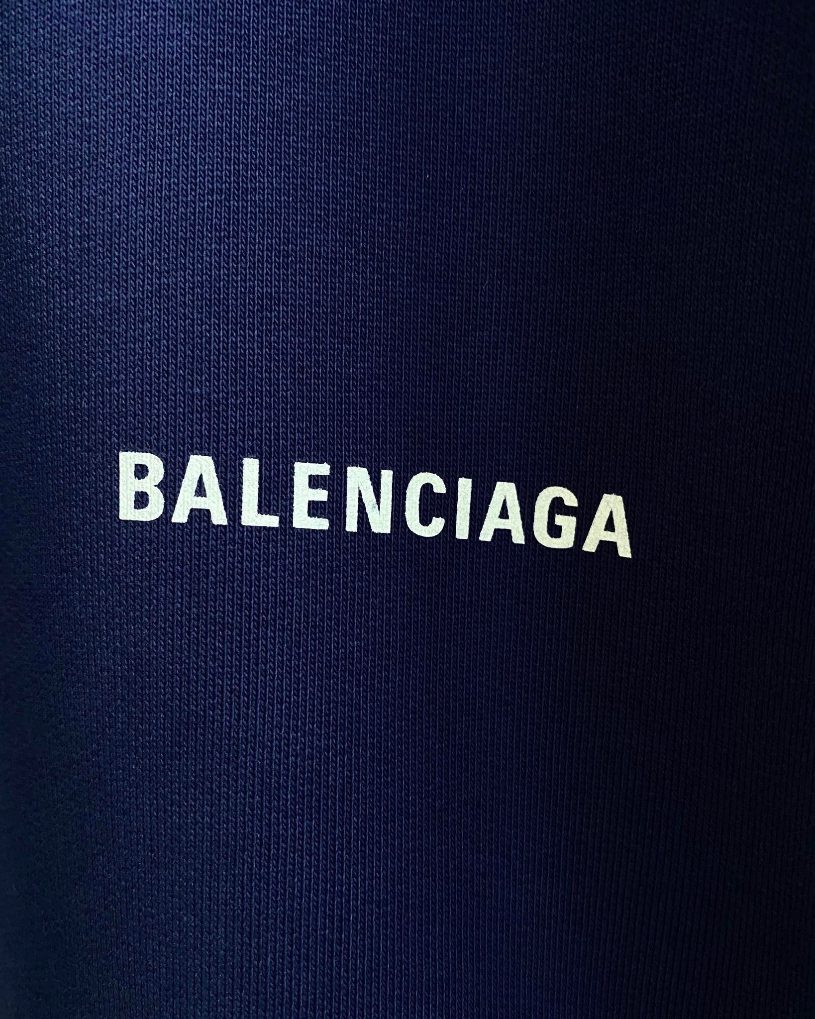 Ba1en*iaga Hoodie