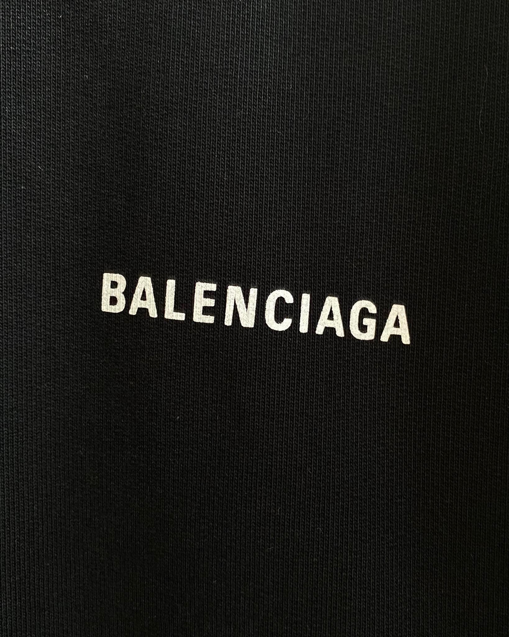 Ba1en*iaga Hoodie
